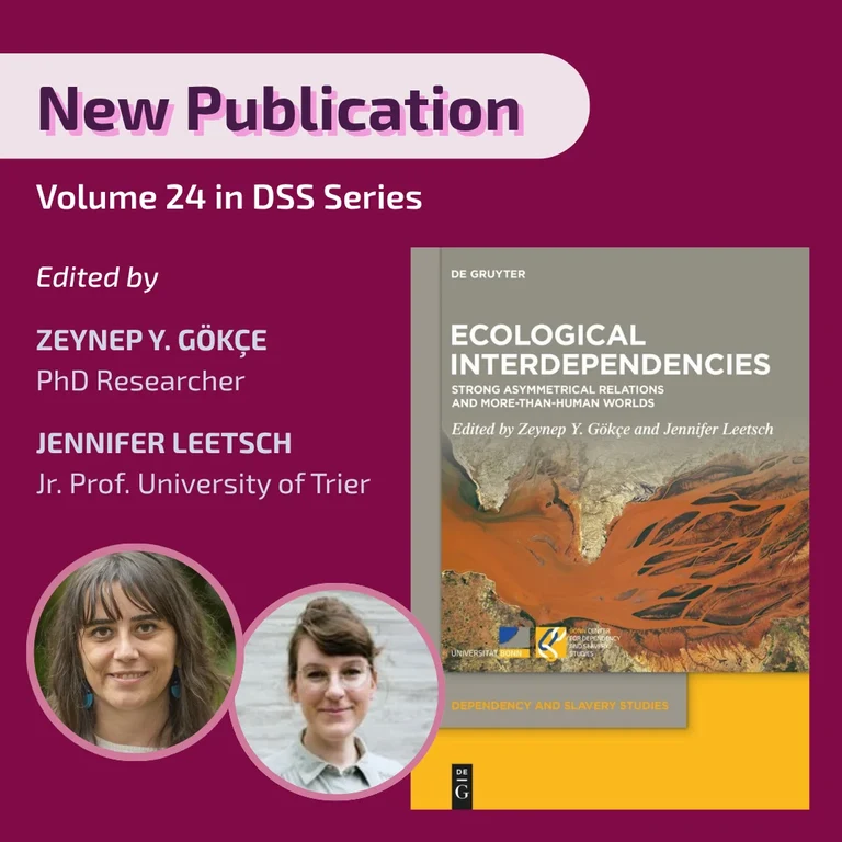 New Publication in DSS Series