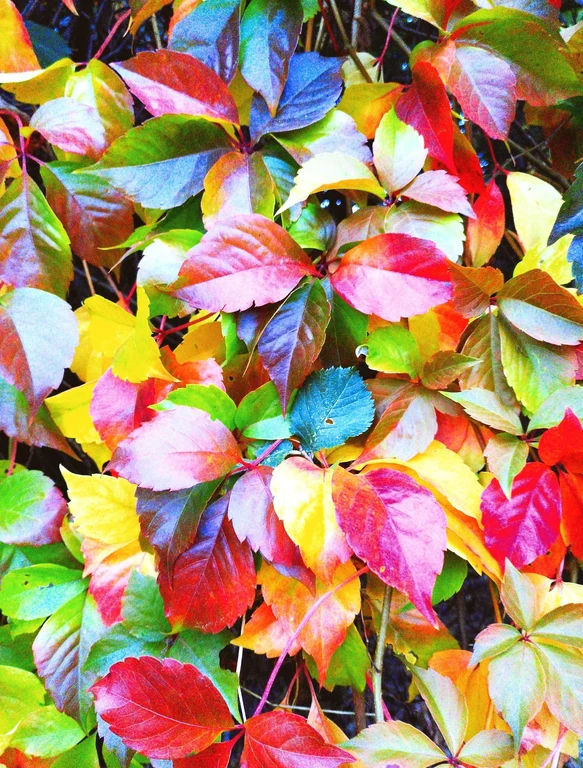 Sustainability_01