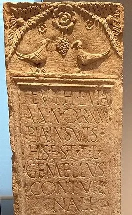 Tile Euthenia Fellowship