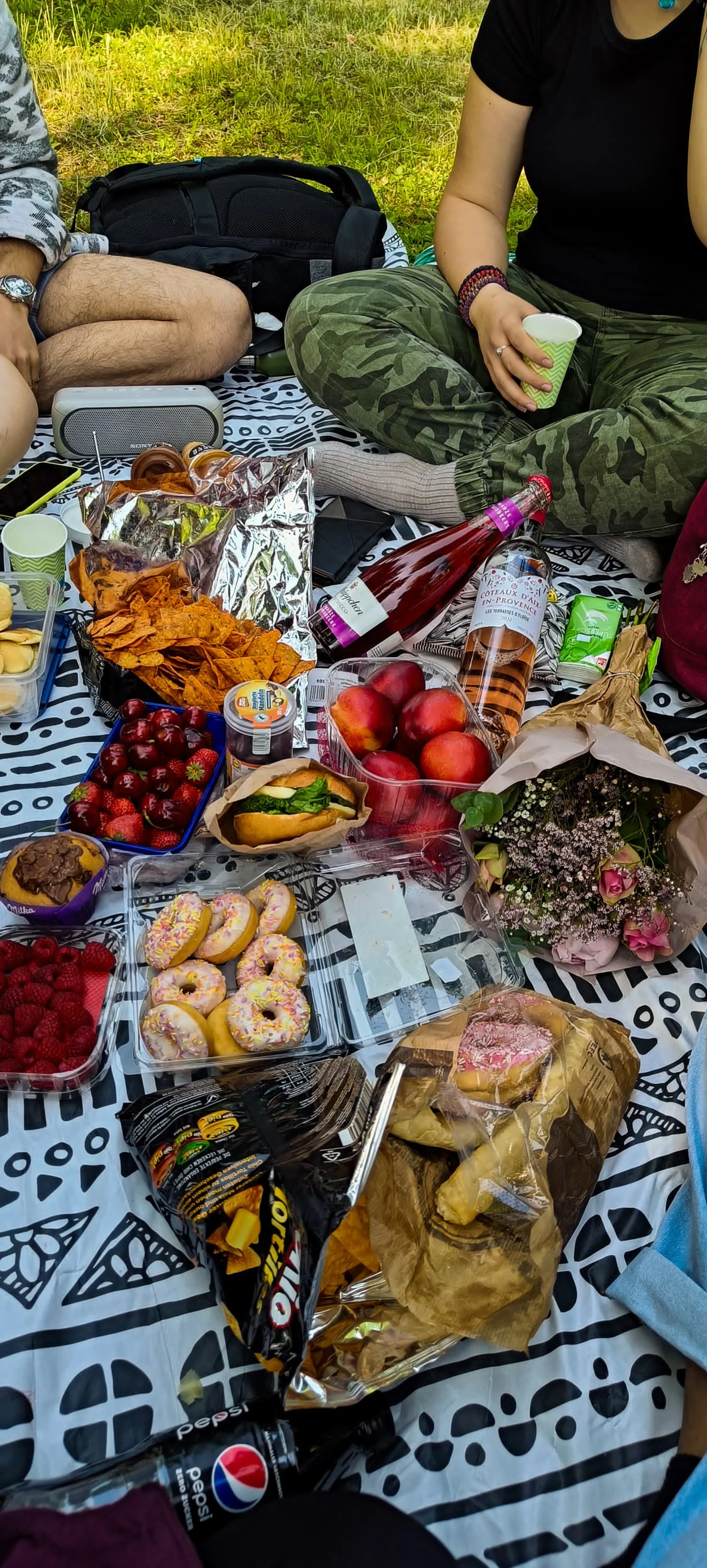 picnic 1.jpeg