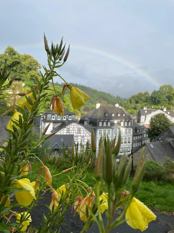 Monschau3.webp