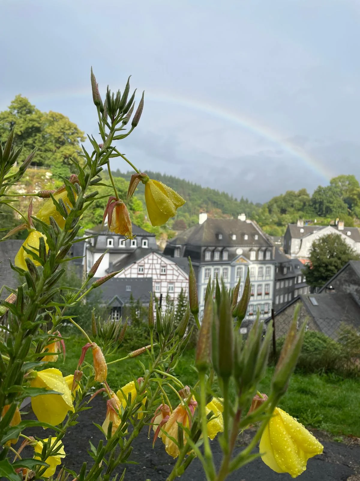 Monschau3.webp