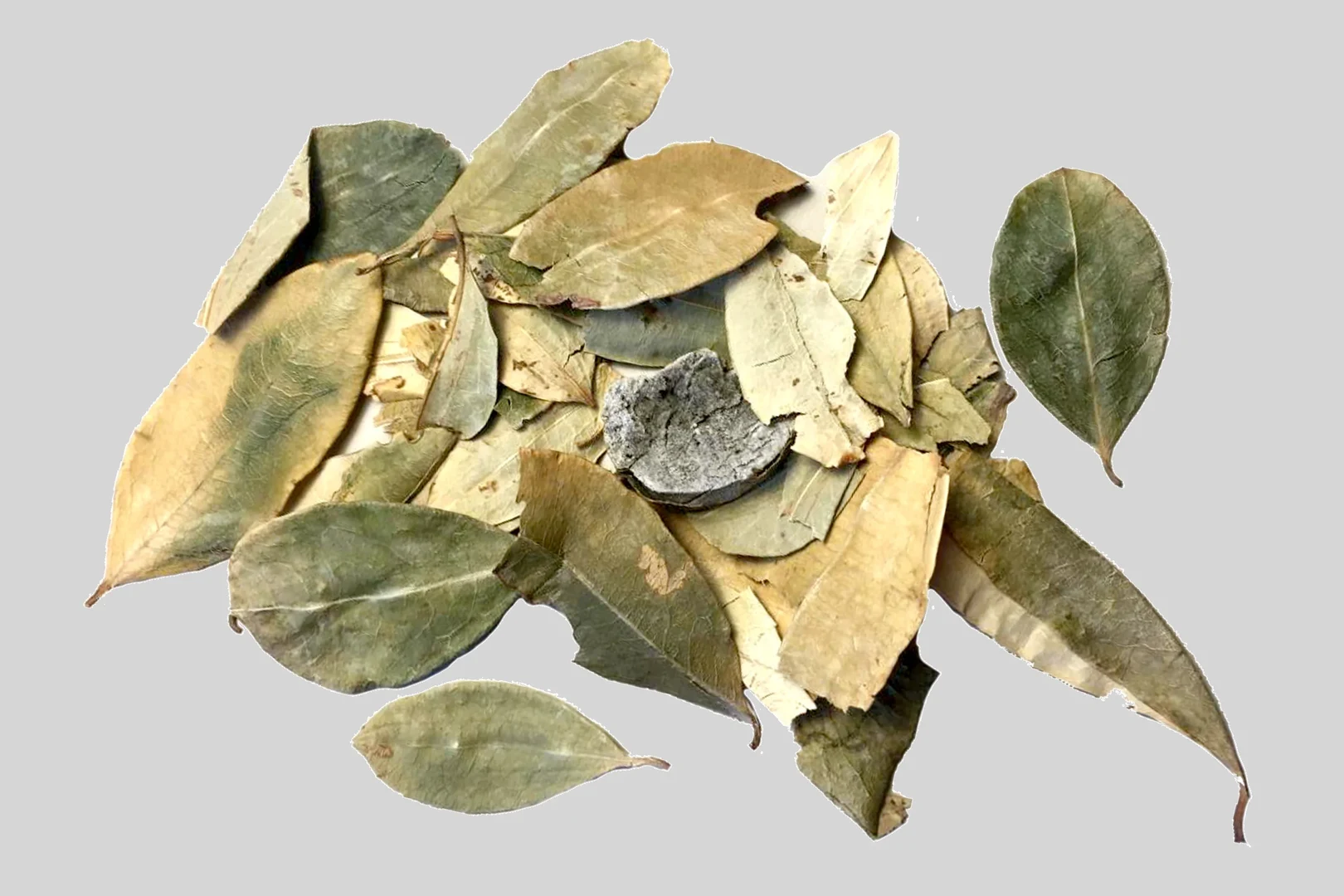 Eine Wissenschaftlerin und ein Wissenschaftler arbeiten hinter einer Glasfassade und mischen Chemikalien mit Großgeräten.