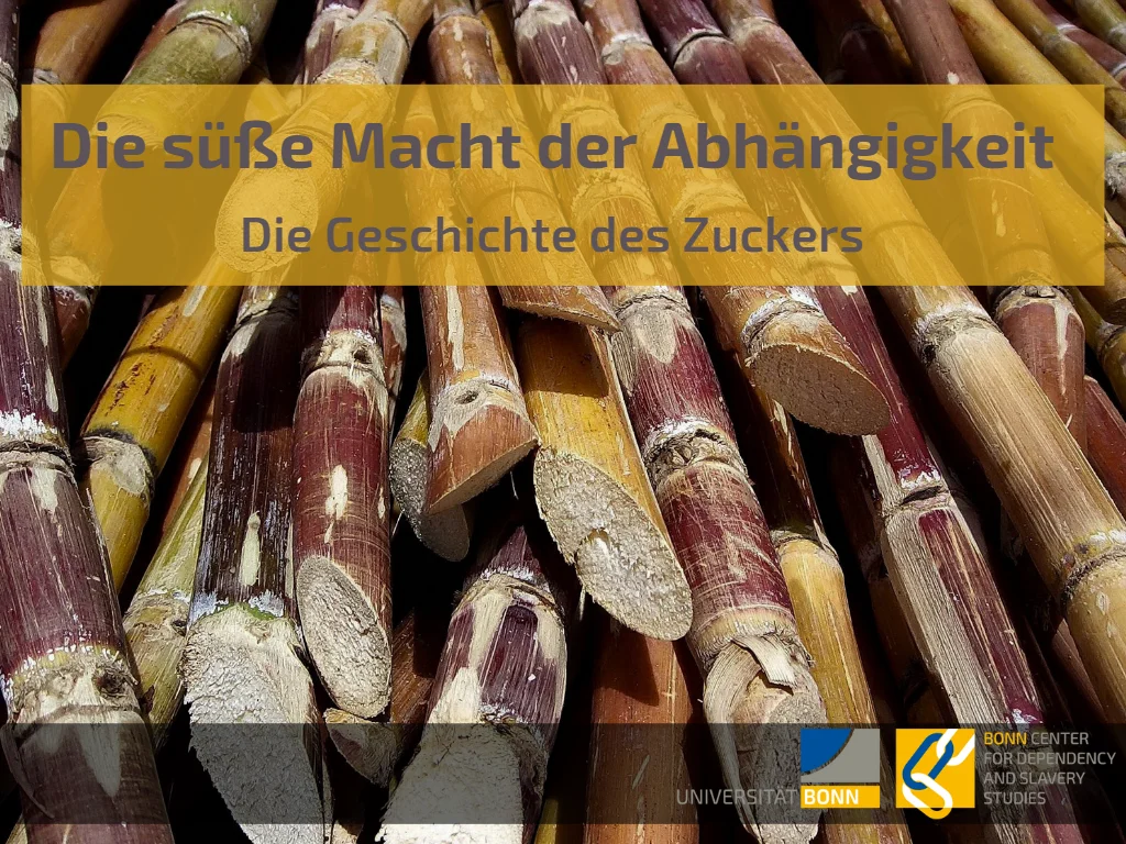 Tile Wissenschaftsrallye 2022