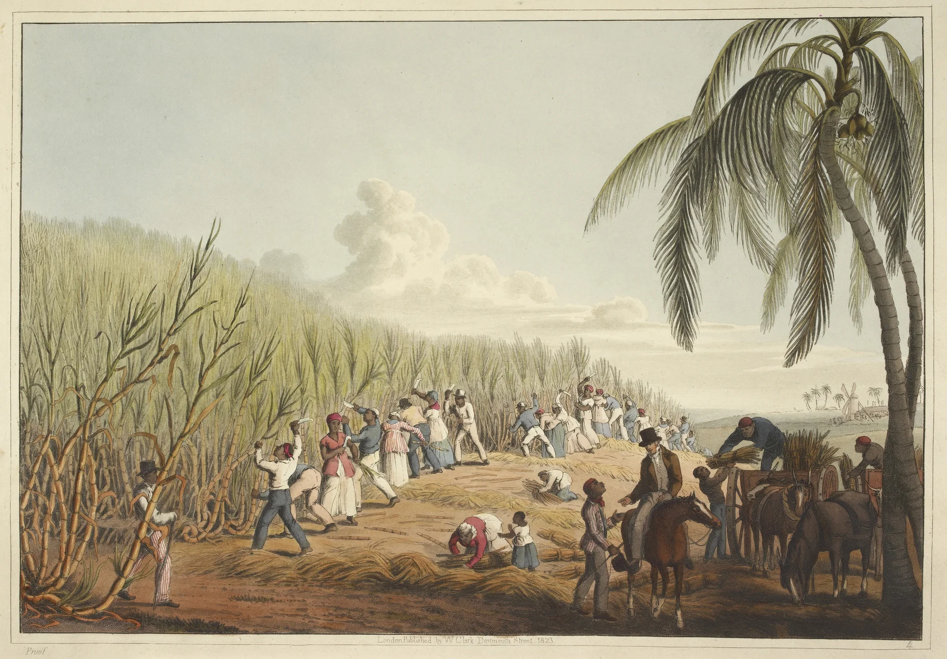 Slaves Cutting the Sugar Cane
