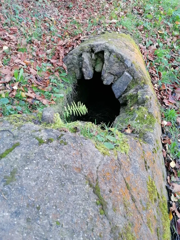 Aquaeduct to Cologne in Eifel.jpeg