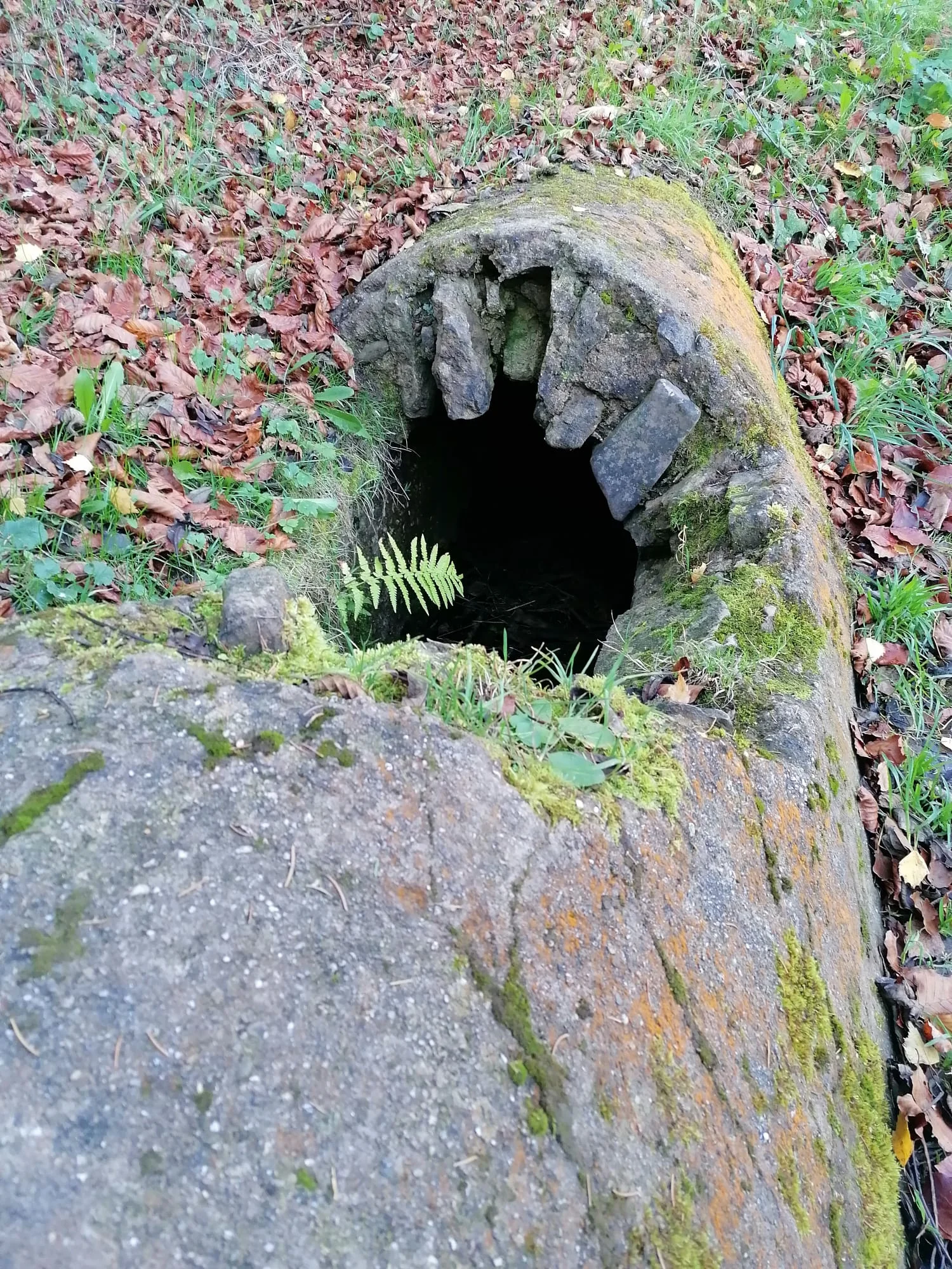 Aquaeduct to Cologne in Eifel.jpeg
