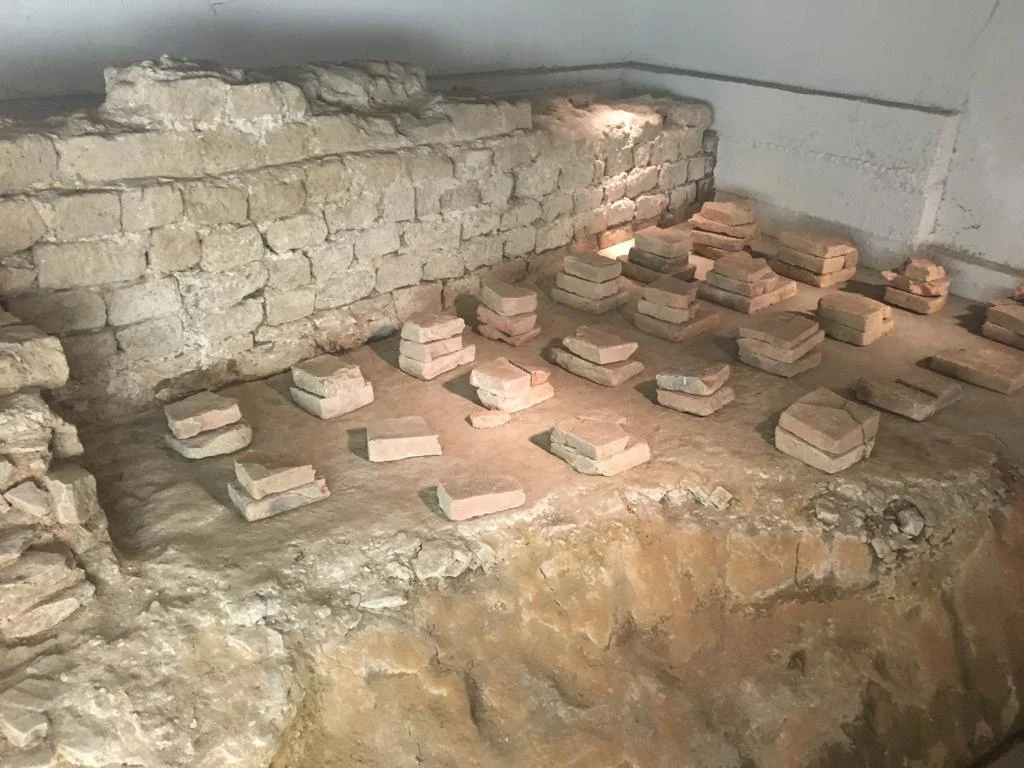 Roman baths under Collegium Albertinum_1.jpeg