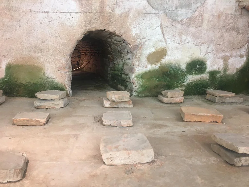 Roman baths under Collegium Albertinum_2.jpeg