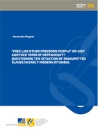 BCDSS Working Paper_06