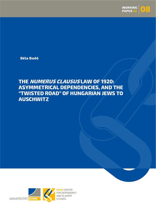 BCDSS Working Paper_08