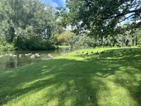 IMG_6708.JPEG