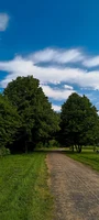 nature 3.jpeg