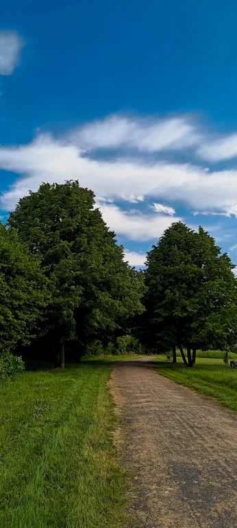 nature 3.jpeg