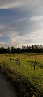 nature 4.jpeg