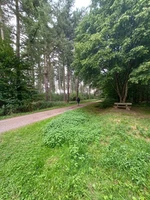 Nature1.jpeg