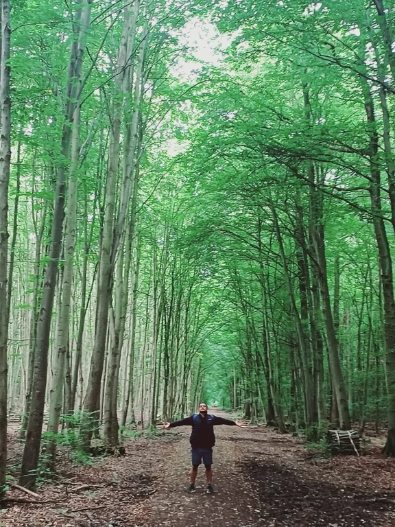 Nature2.jpeg