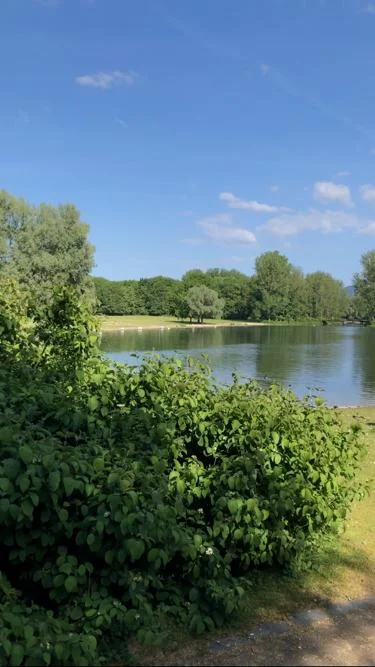 Rheinaue1.jpeg