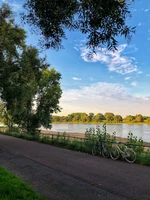 Rheinaue3.jpeg