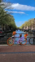 Amsterdam 3.jpeg