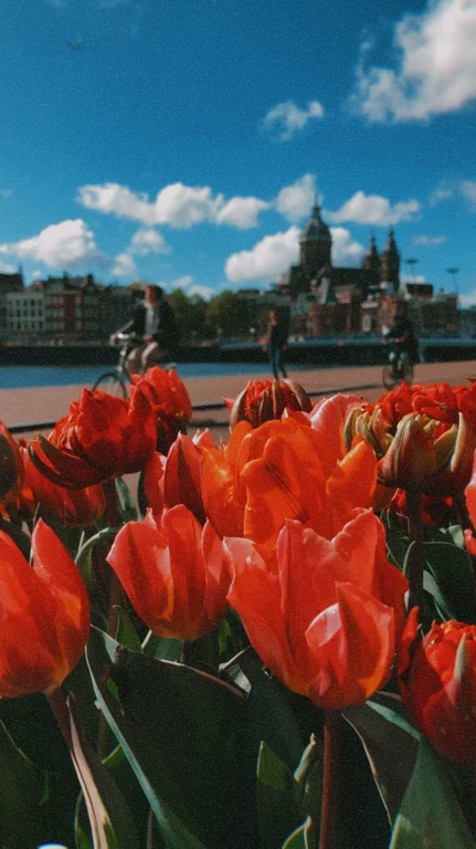 Amsterdam 4.jpeg