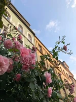 Flowers1.jpeg