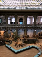 Museum Koenig2.jpeg