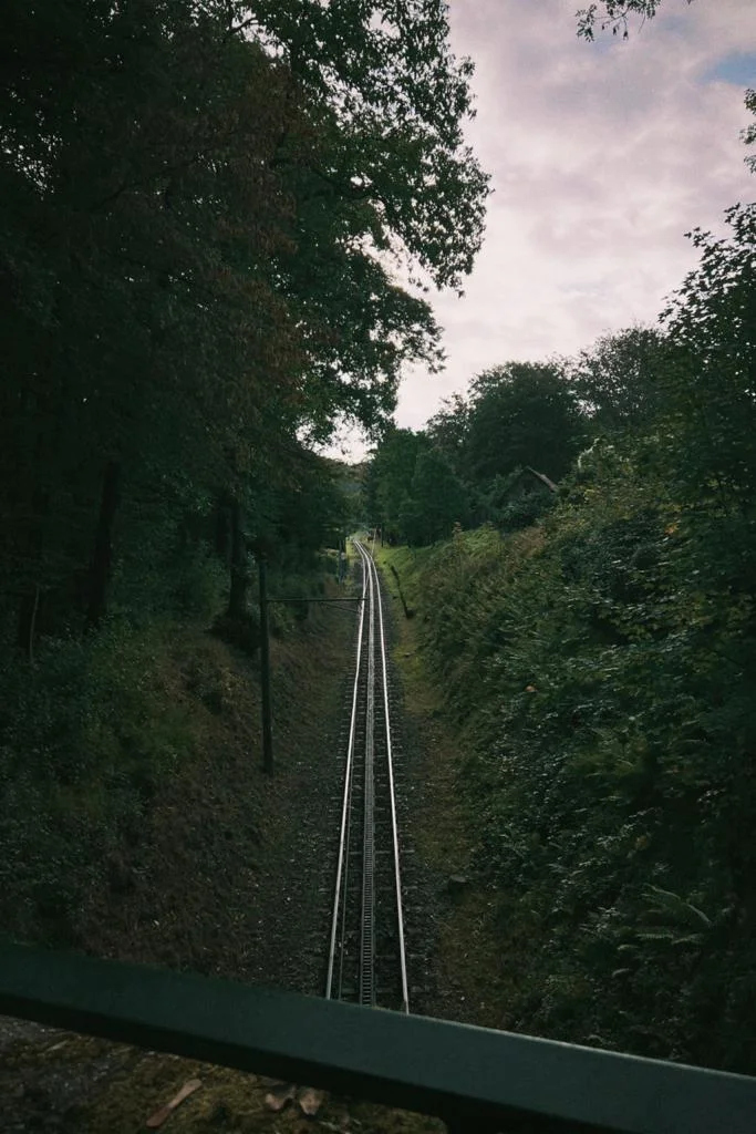 Drachenfels 3.jpeg