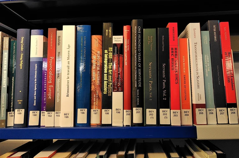 Header BCDSS ULB Section