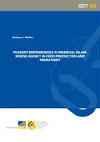 Cover BCDSS Working Paper_03