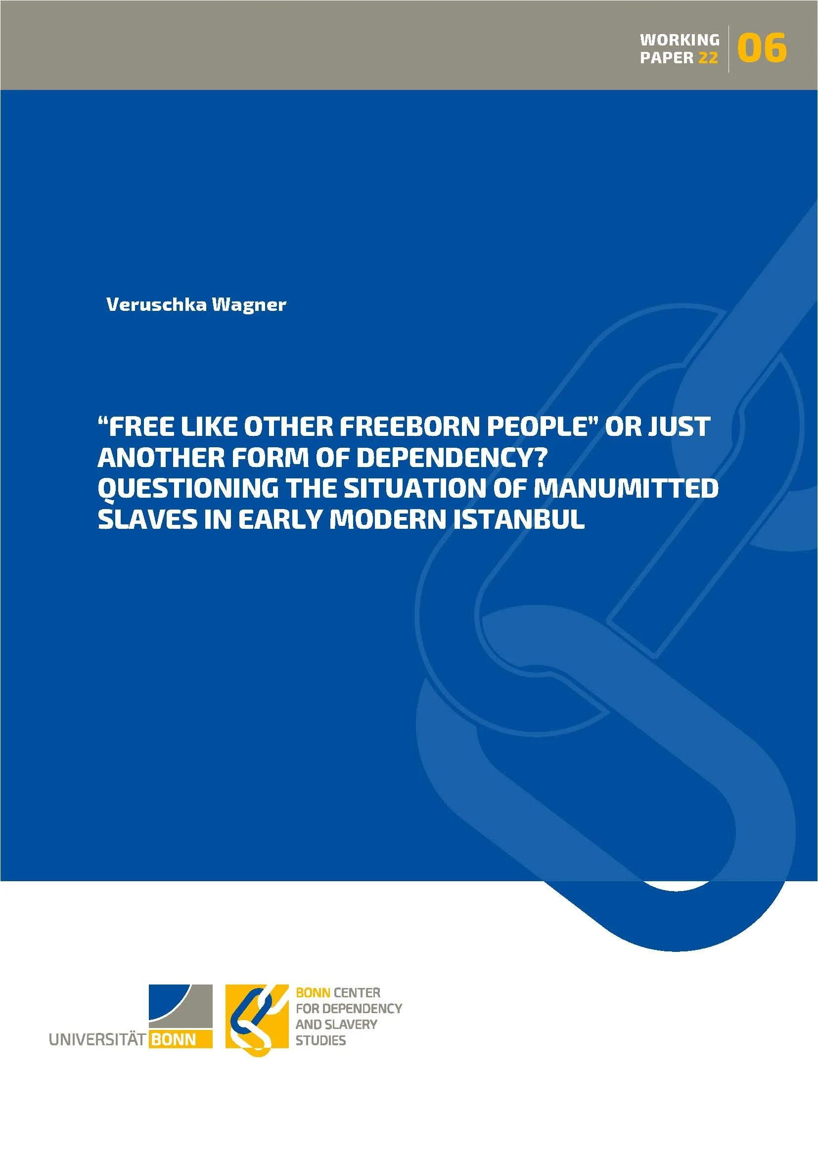 Cover BCDSS Working Paper_06