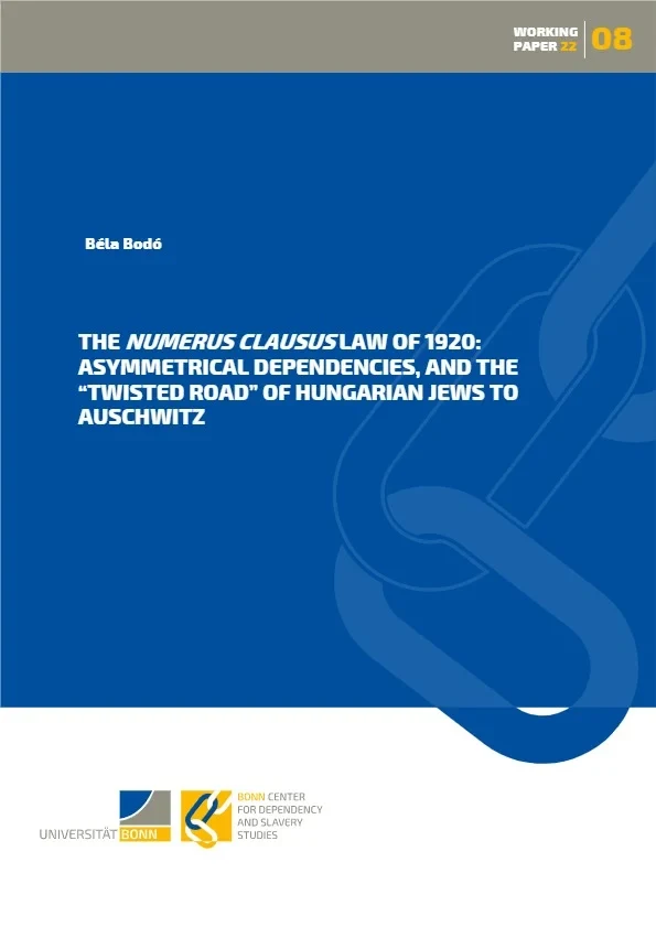 Cover BCDSS Working Paper_08