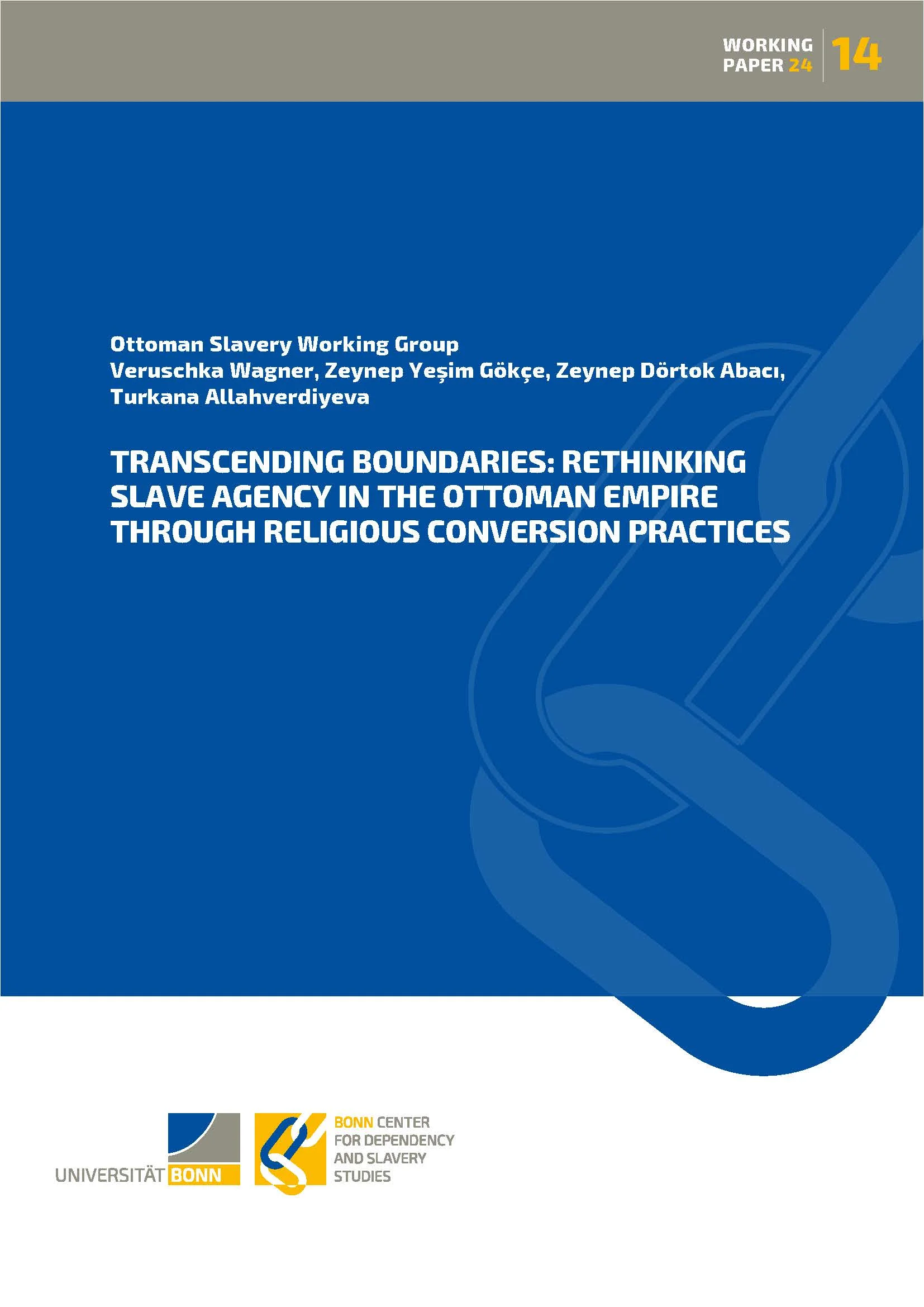 Cover BCDSS Working Paper_14