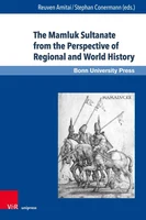 Cover The Mamluk Sultanate from the Perspective of Regional and World History