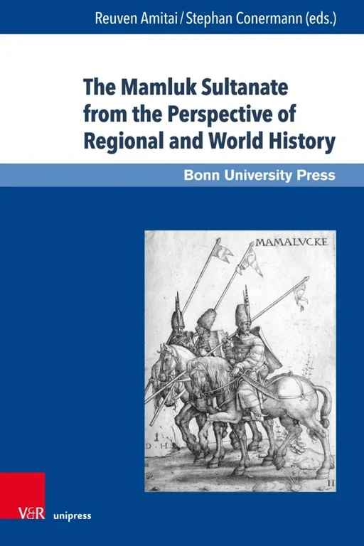 Cover The Mamluk Sultanate from the Perspective of Regional and World History