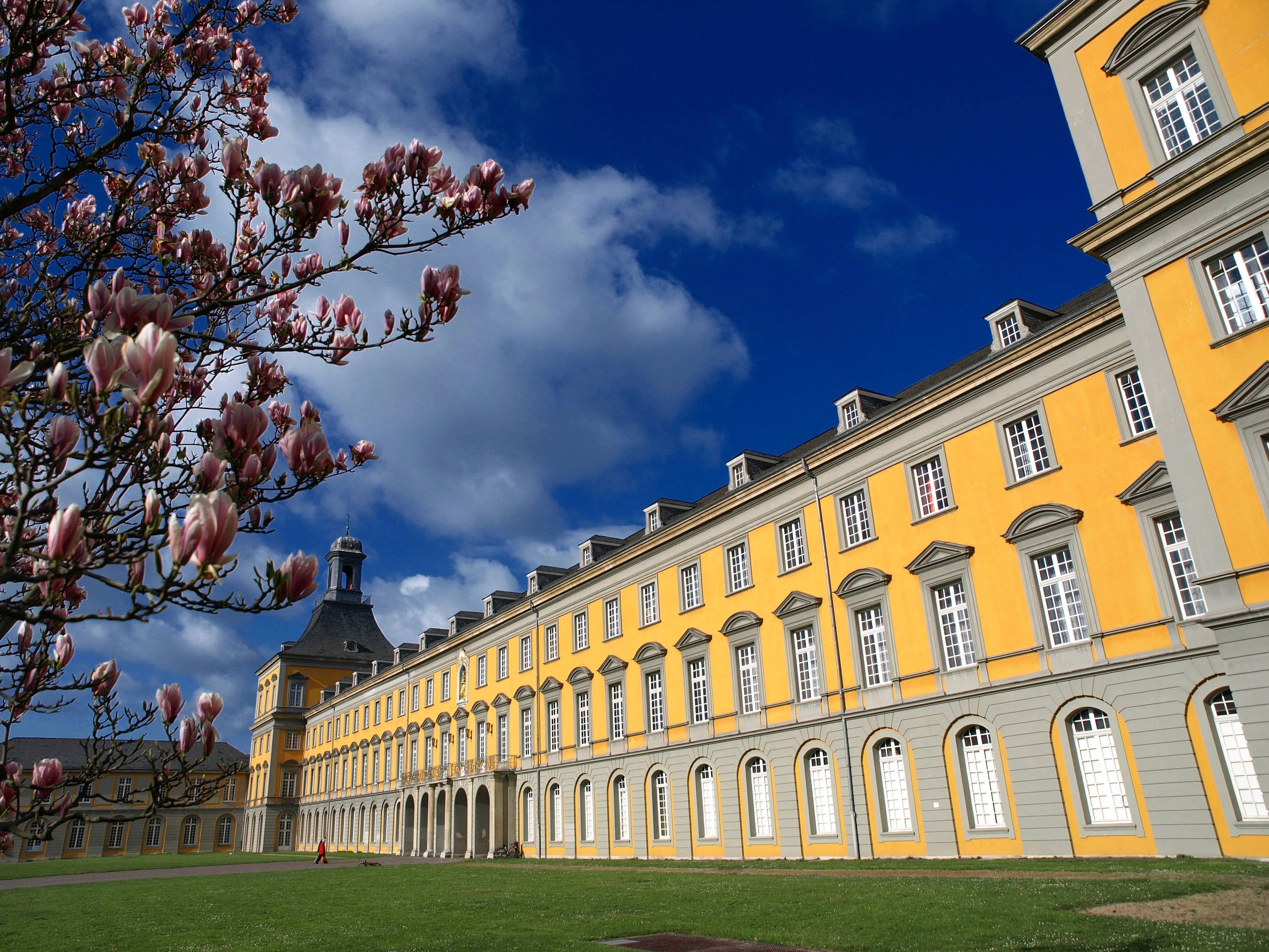 Tile  Institutional Collaboration Partners in the University of Bonn